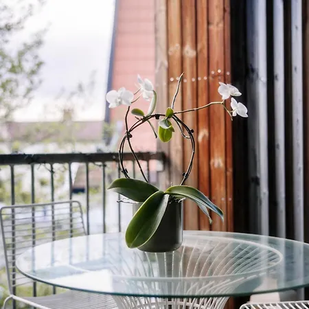 Architect-designed House On The Rooftops Of The * Oslo